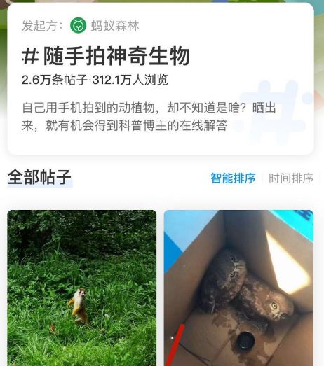蚂蚁森林中随手拍神奇生物活动参加方法_wishdown.com 蚂蚁森林中随手拍神奇生物活动参加方法_wishdown.com