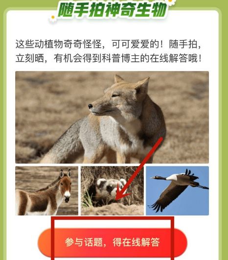 蚂蚁森林中随手拍神奇生物活动参加方法_wishdown.com 蚂蚁森林中随手拍神奇生物活动参加方法_wishdown.com