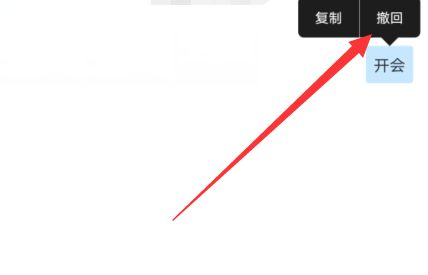 腾讯会议可以撤回吗操作方法一览_wishdown.com 腾讯会议可以撤回吗操作方法一览_wishdown.com