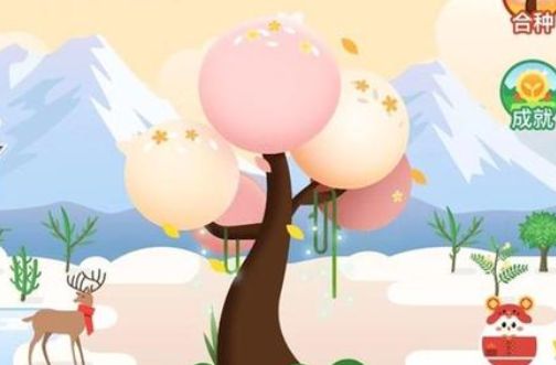 超好看的蚂蚁森林汤圆树获得方法_wishdown.com 超好看的蚂蚁森林汤圆树获得方法_wishdown.com