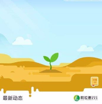 ���㼸������ɭ�ֻ�ô�����������