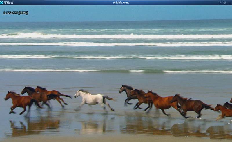 QQ影音中打开本地视频的方法介绍_wishdown.com QQ影音中打开本地视频的方法介绍_wishdown.com