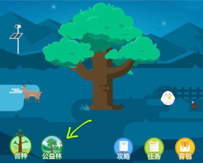 ����ɭ�����߹����֣���5������������������Ƹ���