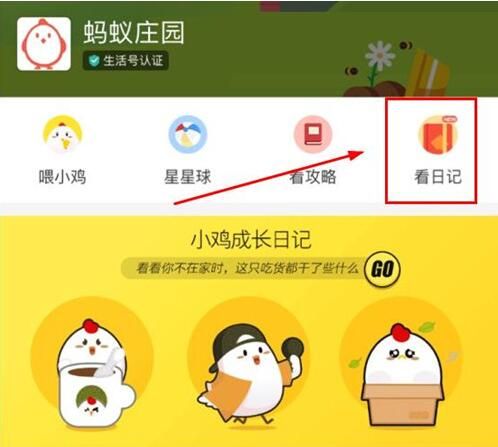 支付宝蚂蚁庄园小鸡怎么改名字入口方法一览【图】_wishdown.com 支付宝蚂蚁庄园小鸡怎么改名字入口方法一览【图】_wishdown.com