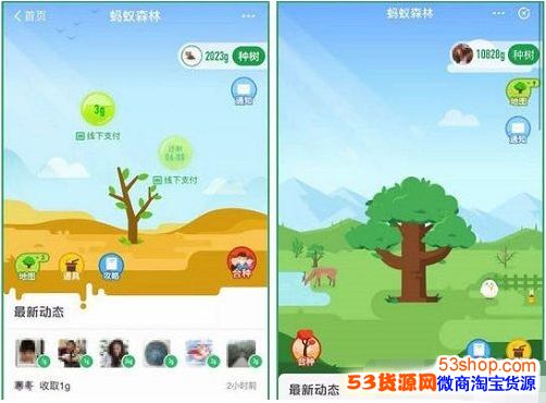 Ϊʲô�ҵ�����ɭ��û��¹������ɭ��С¹��ô���