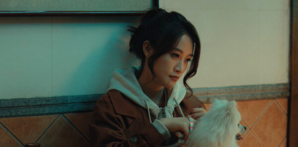 夜色正浓第20集剧情介绍_wishdown.com 夜色正浓第20集剧情介绍_wishdown.com