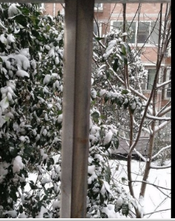 好看视频怎么上传视频?上传视频方法介绍_wishdown.com 好看视频怎么上传视频?上传视频方法介绍_wishdown.com