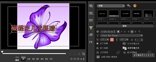 会声会影X5里输入txt字幕文件的基础步骤讲解_wishdown.com 会声会影X5里输入txt字幕文件的基础步骤讲解_wishdown.com