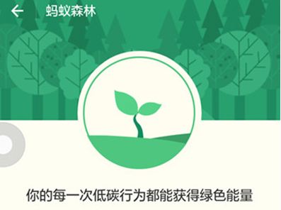 ����ɭ�ְ�ȫ�𣿻᲻��й¶������˽��