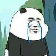 网络用语bum是什么意思?bum出处是哪里_wishdown.com 网络用语bum是什么意思?bum出处是哪里_wishdown.com