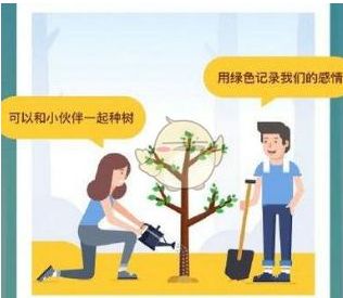 ����ɭ�ֺ�����ô�˳����˳�����������ʲôӰ��