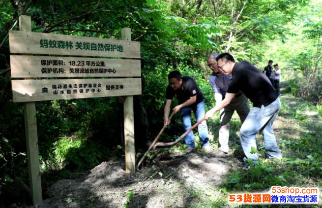 请珍惜偷你能量的好友,因为蚂蚁森林关键时刻能保命_wishdown.com 请珍惜偷你能量的好友,因为蚂蚁森林关键时刻能保命_wishdown.com