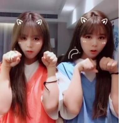 最近很火的抖音学猫叫什么歌?我们一起学猫叫是什么歌_wishdown.com 最近很火的抖音学猫叫什么歌?我们一起学猫叫是什么歌_wishdown.com