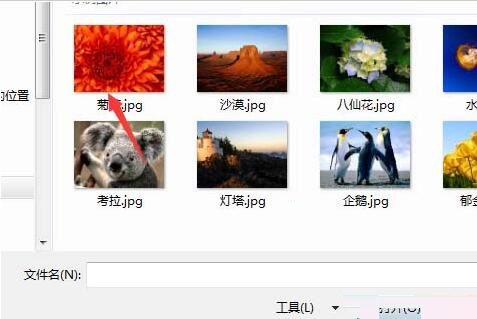 access数据库应用程序图标设置操作过程_wishdown.com access数据库应用程序图标设置操作过程_wishdown.com