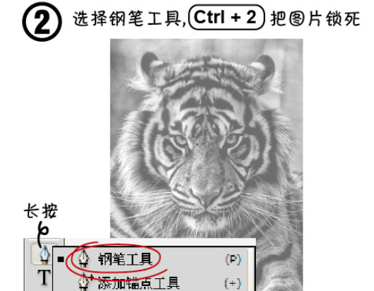 ai打造老虎头像的操作方法_wishdown.com ai打造老虎头像的操作方法_wishdown.com