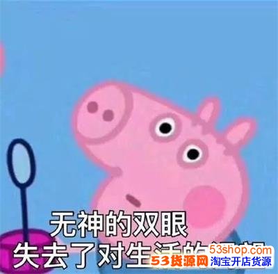 С�������������ʲô����С�������������ʲô��˼