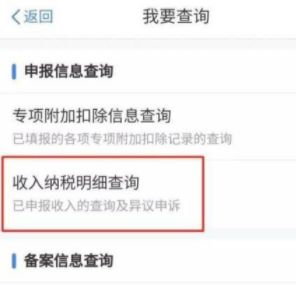 ��������˰app��ô��ѯ������ϸ