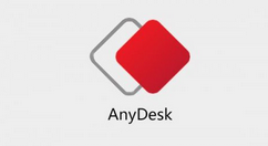 AnyDesk���Զ������Э���ķ���
