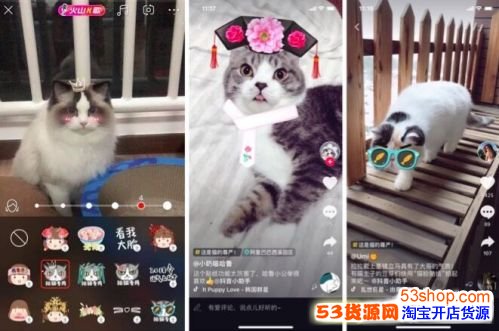 ����è����ֽ��ʲô��������ɽС��Ƶ����è����ֽ������