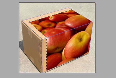 PS给箱子贴上logo的操作流程_wishdown.com PS给箱子贴上logo的操作流程_wishdown.com