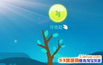 ����ɭ����ô�˳����֣���ô������