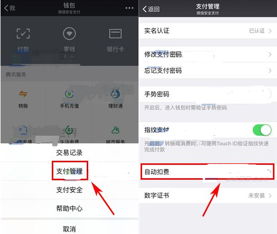 微信自动扣费功能在哪关闭?微信自动扣费怎么取消_wishdown.com 微信自动扣费功能在哪关闭?微信自动扣费怎么取消_wishdown.com