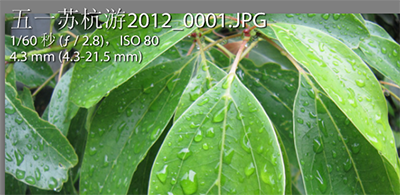 Lightroom批量重命名照片的图文方法_wishdown.com Lightroom批量重命名照片的图文方法_wishdown.com