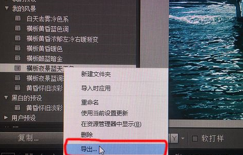 Lightroom导出保存预设的操作步骤_wishdown.com Lightroom导出保存预设的操作步骤_wishdown.com