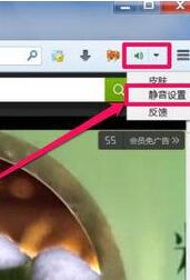 火狐浏览器关掉网页声音的操作过教程_wishdown.com 火狐浏览器关掉网页声音的操作过教程_wishdown.com