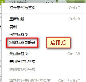 谷歌浏览器设置网页静音的详细教程_wishdown.com 谷歌浏览器设置网页静音的详细教程_wishdown.com