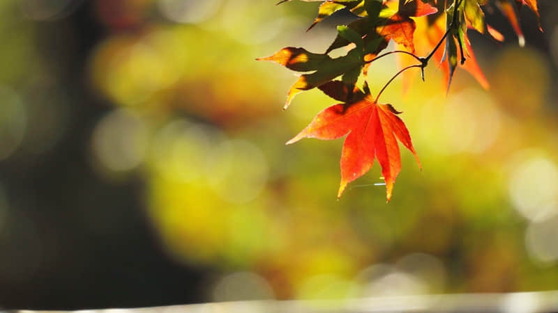 ����������һ�㣬���ᰮ����??��