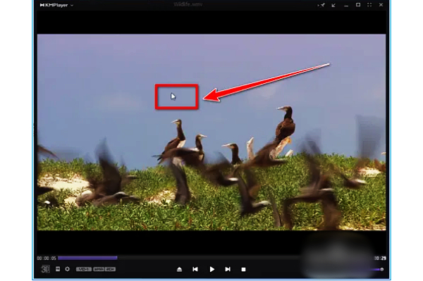 kmplayer plus怎么导入字幕?kmplayer plus导入字幕的操作步骤_wishdown.com kmplayer plus怎么导入字幕?kmplayer plus导入字幕的操作步骤_wishdown.com