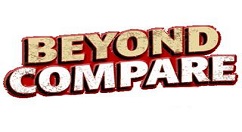 Beyond Compare�к�����ĸ��Сд�������ϸ��������