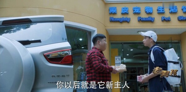 ���к���11���������