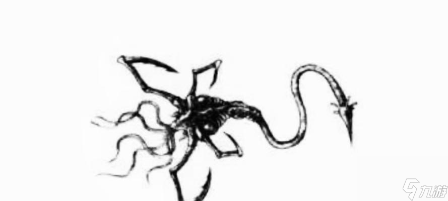 ����Σ���м�������ô�������� ������ʲô