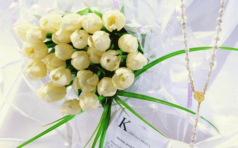 ��������Ų��µ����ˡ������鲻������