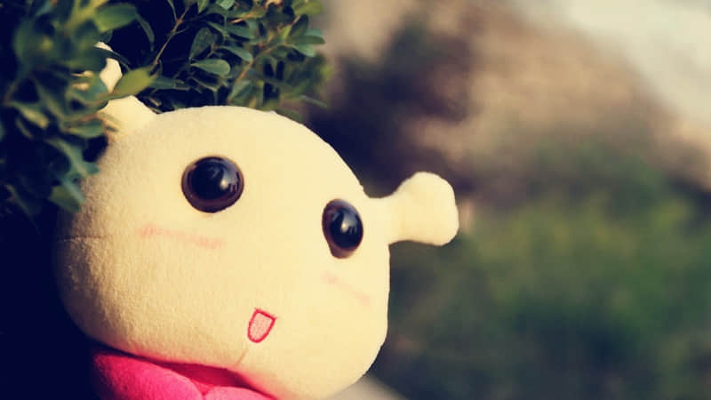 “我想你了,用林徽因的话怎么说?”_wishdown.com “我想你了,用林徽因的话怎么说?”_wishdown.com