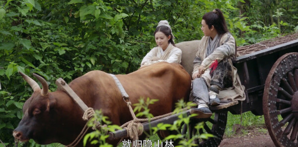 倚天屠龙记第43集剧情介绍_wishdown.com 倚天屠龙记第43集剧情介绍_wishdown.com