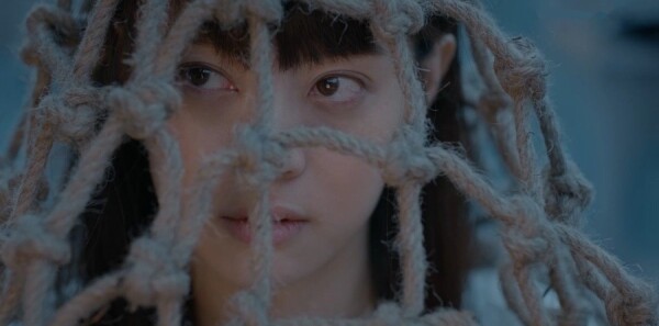 那年花开月正圆第21集剧情介绍_wishdown.com 那年花开月正圆第21集剧情介绍_wishdown.com