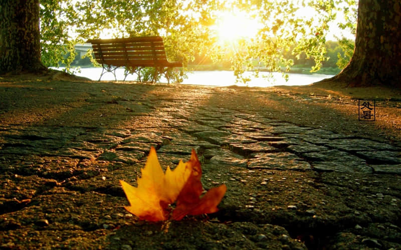 “够你发一辈子的小众文案”_wishdown.com “够你发一辈子的小众文案”_wishdown.com