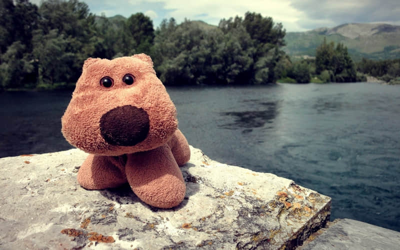 “够你发一辈子的小众文案”_wishdown.com “够你发一辈子的小众文案”_wishdown.com