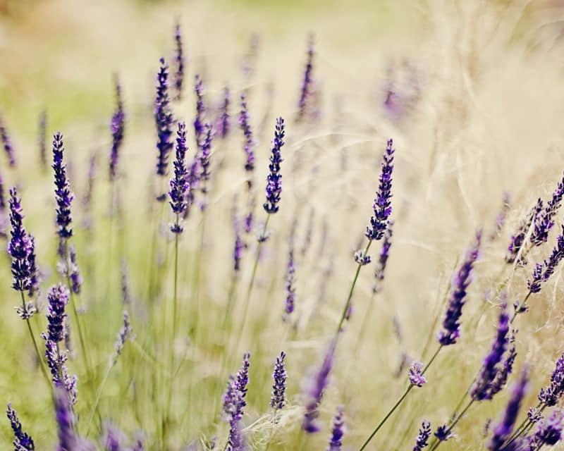 ????????????|普普通通但很喜欢的小众文案???_wishdown.com ????????????|普普通通但很喜欢的小众文案???_wishdown.com