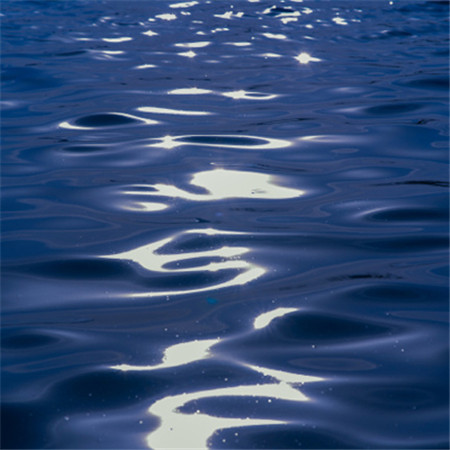 �����˸м���������(��ѡ100��)