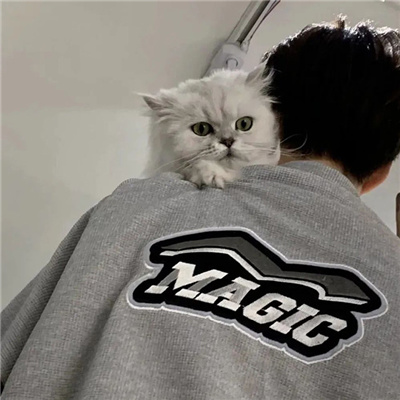 �ʺ����������˫������(��ѡ100��)