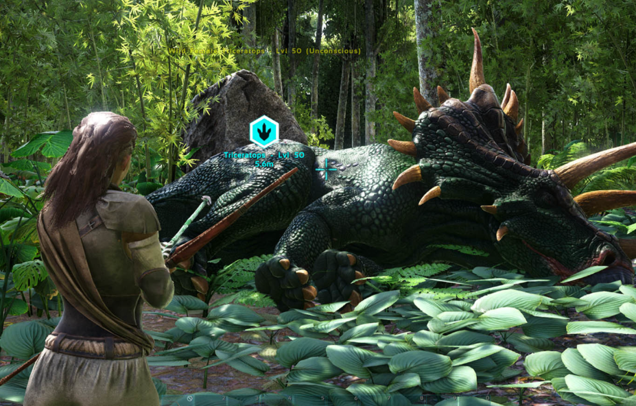 ���������������Ҫ��