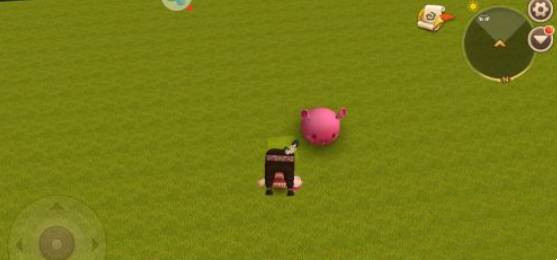 迷你世界泡泡糖怎么对团子使用2026_wishdown.com 迷你世界泡泡糖怎么对团子使用2026_wishdown.com