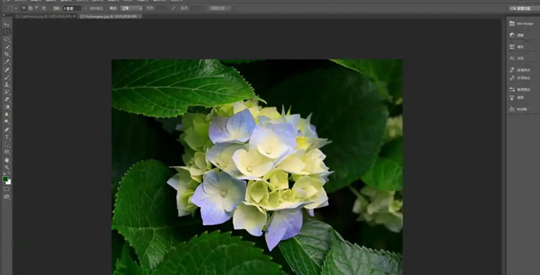Photoshop CS6��ô��ͼƬȥ��