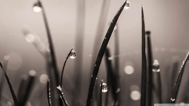 ��ѡһ����ȥЦ���������Ȧ��