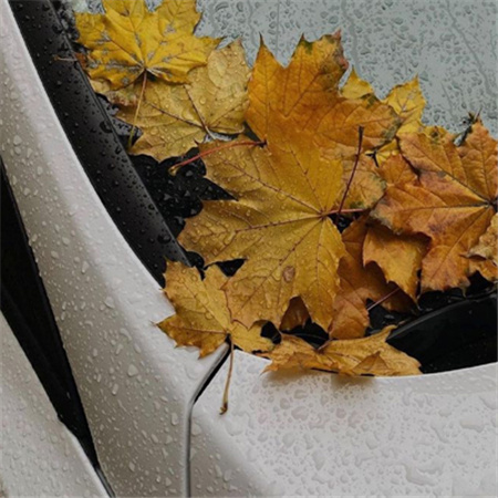 ���������˸�ͼƬ������(��ѡ100��)