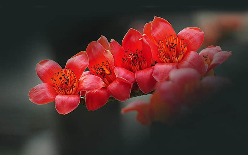 “????????,申请成为你的微信置顶短句”_wishdown.com “????????,申请成为你的微信置顶短句”_wishdown.com